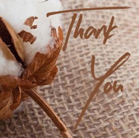 Thank You Cards